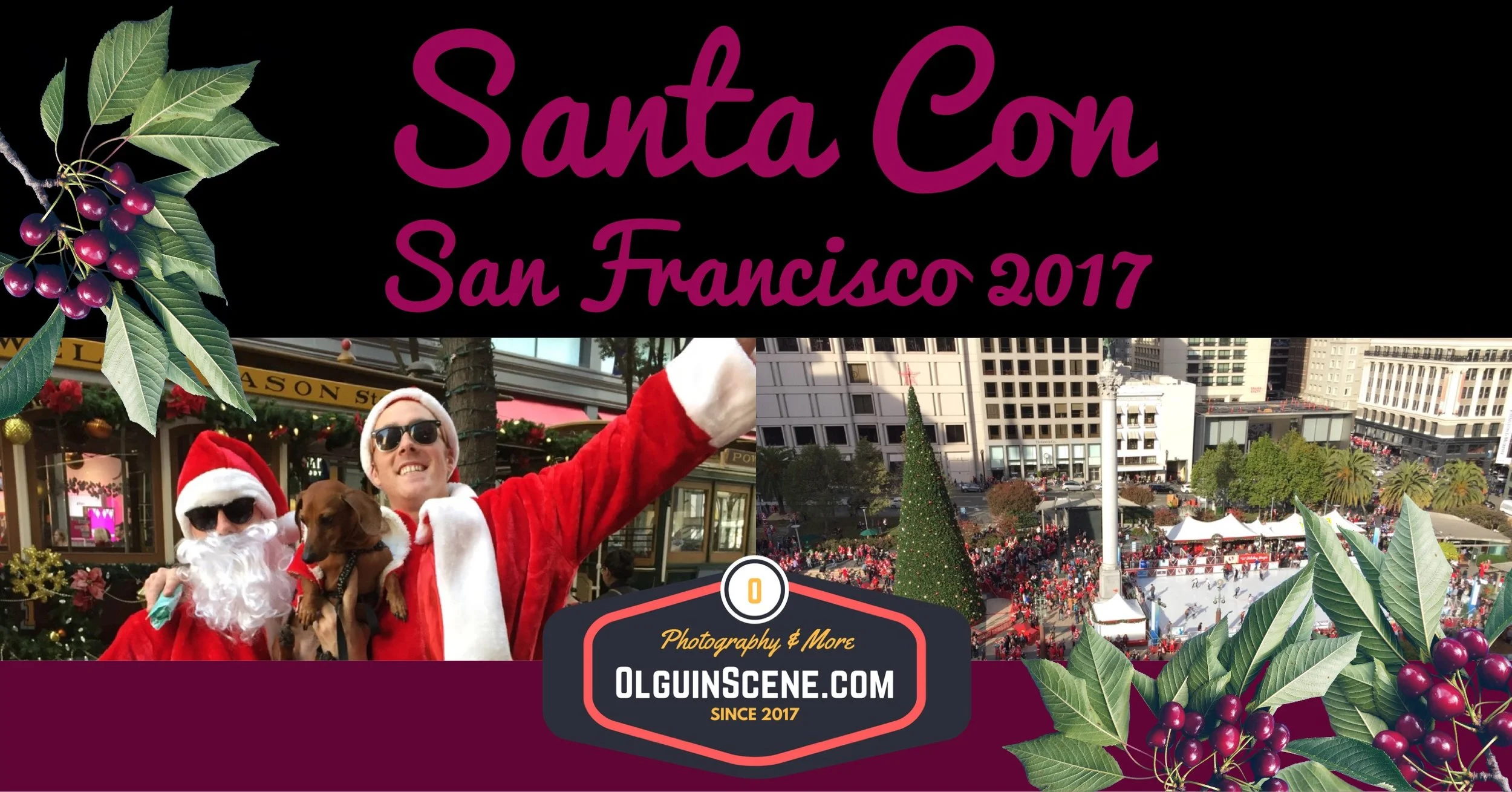 San Francisco Santa Con 2017