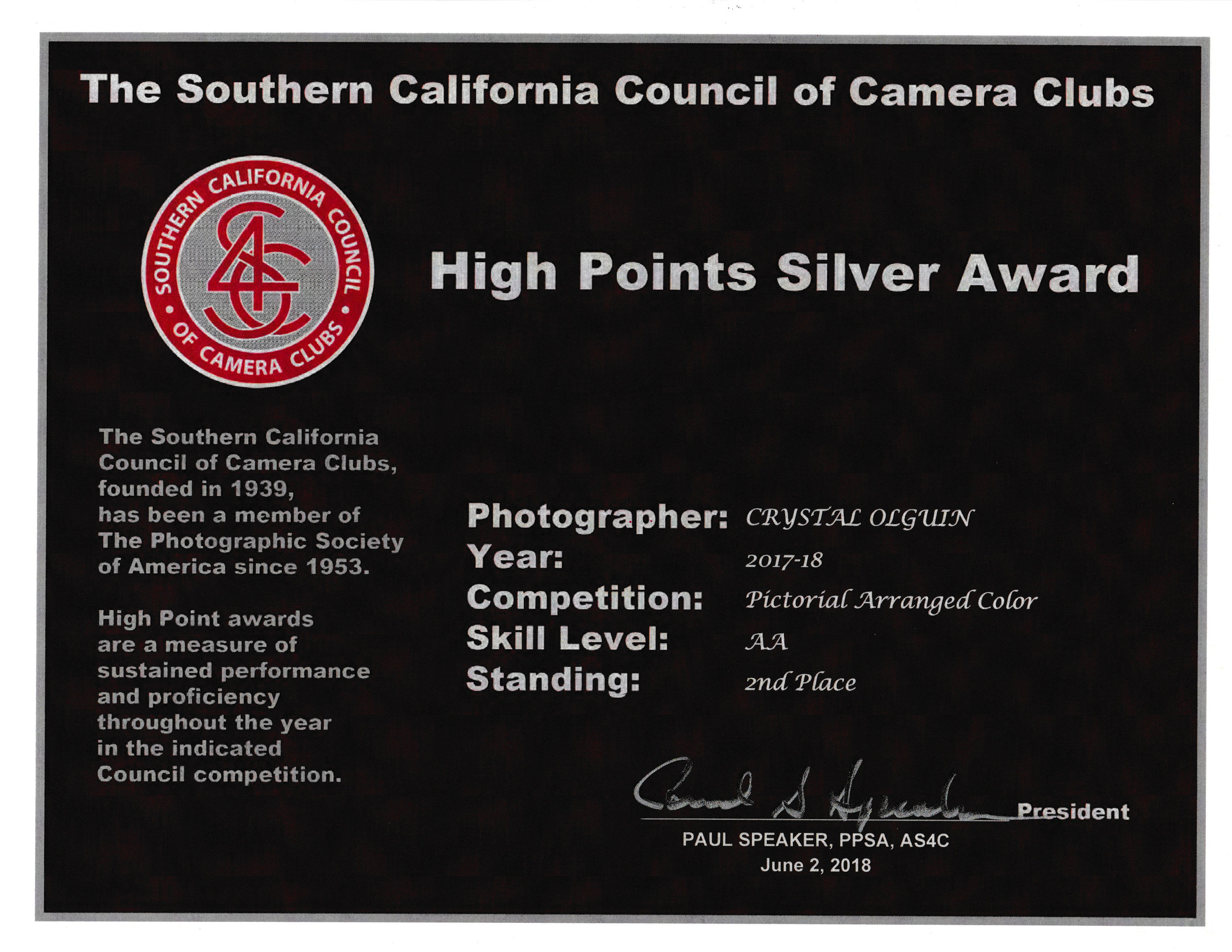 HIGH POINTS SILVER.jpeg