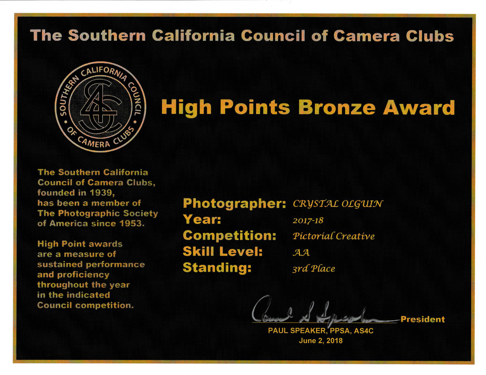 HIGH POINTS BRONZE.jpeg