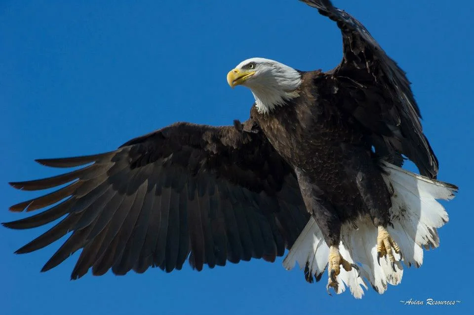 When you were called into the Principal’s Office?