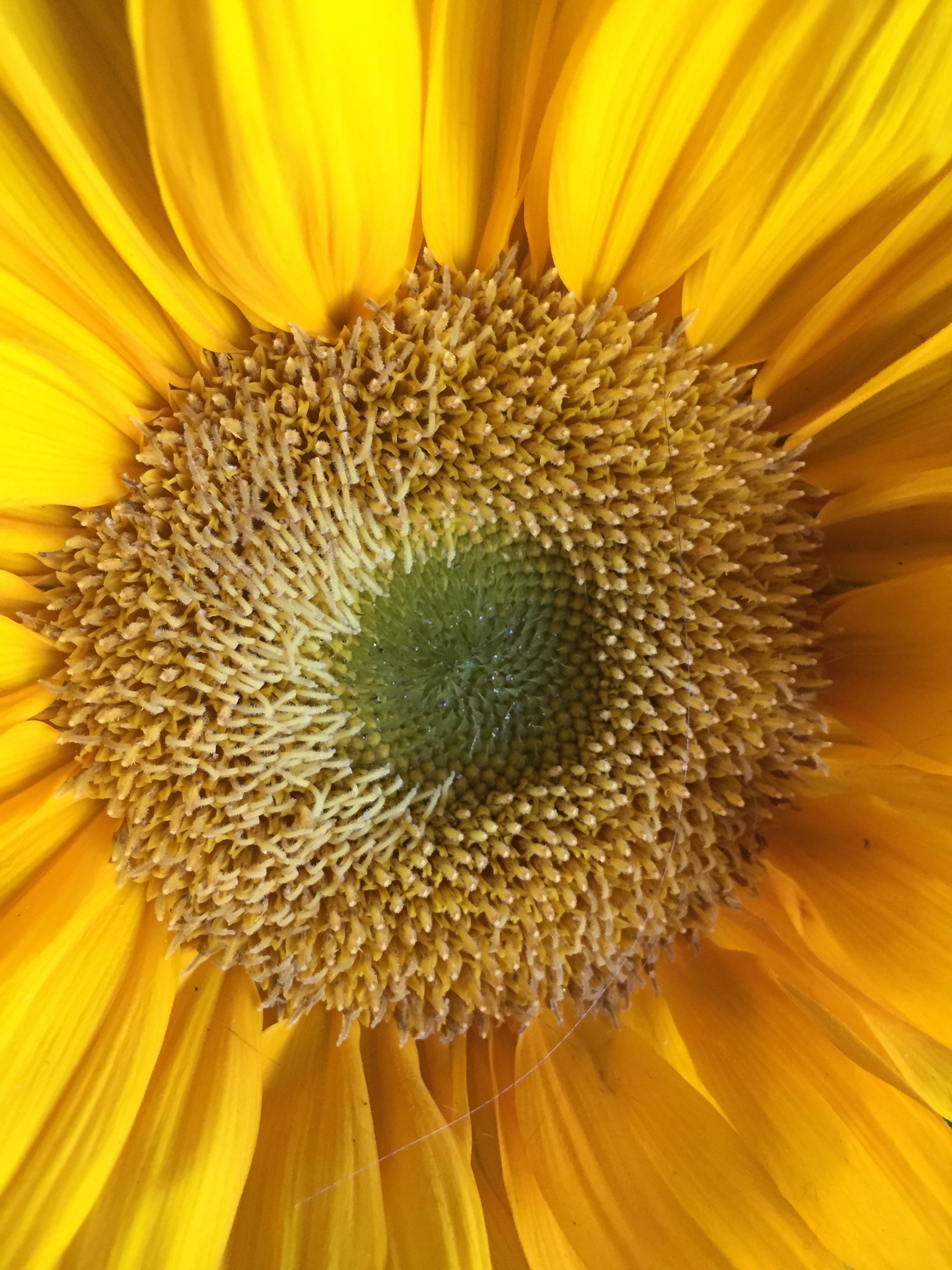 Was today a Success!?