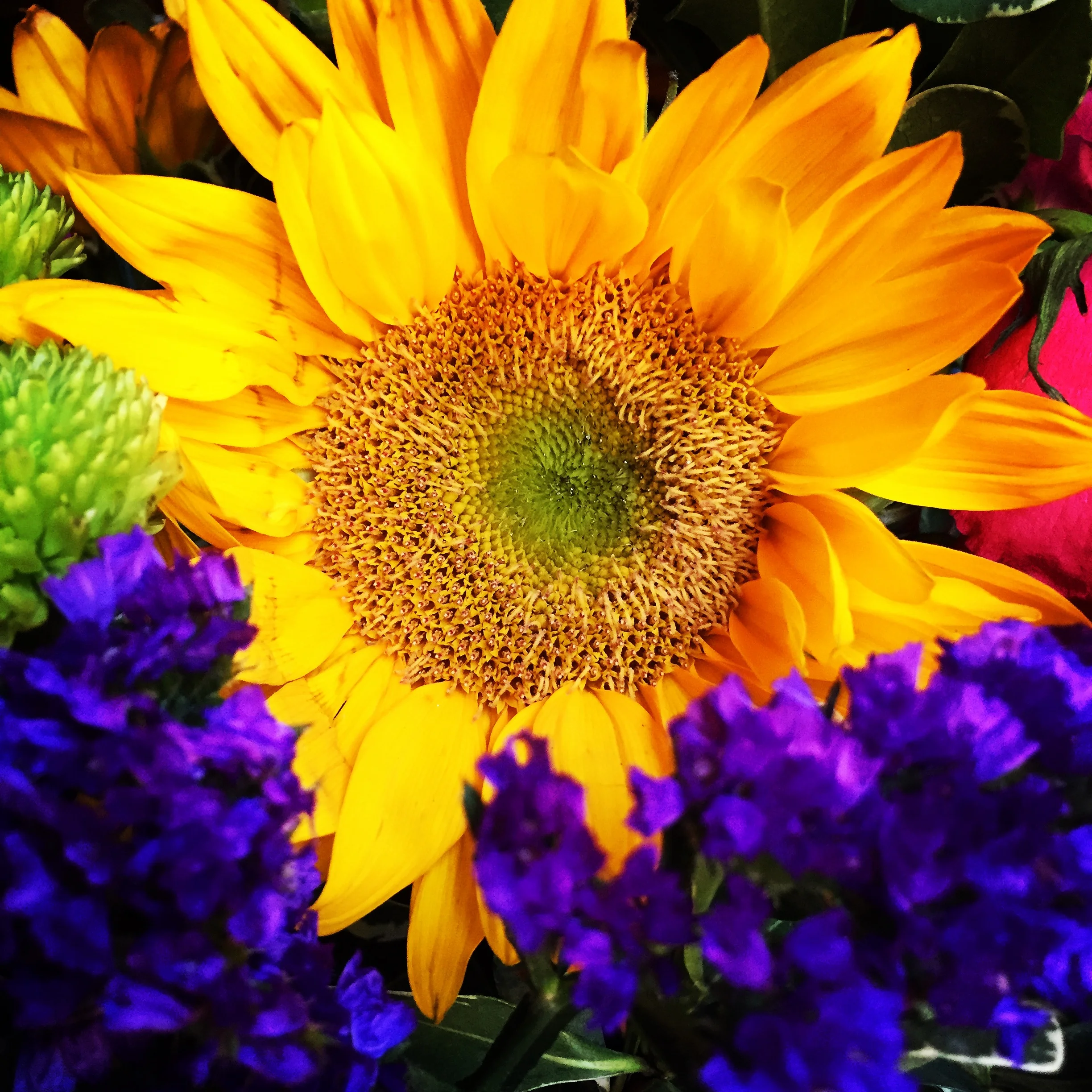 Was today a Success!?