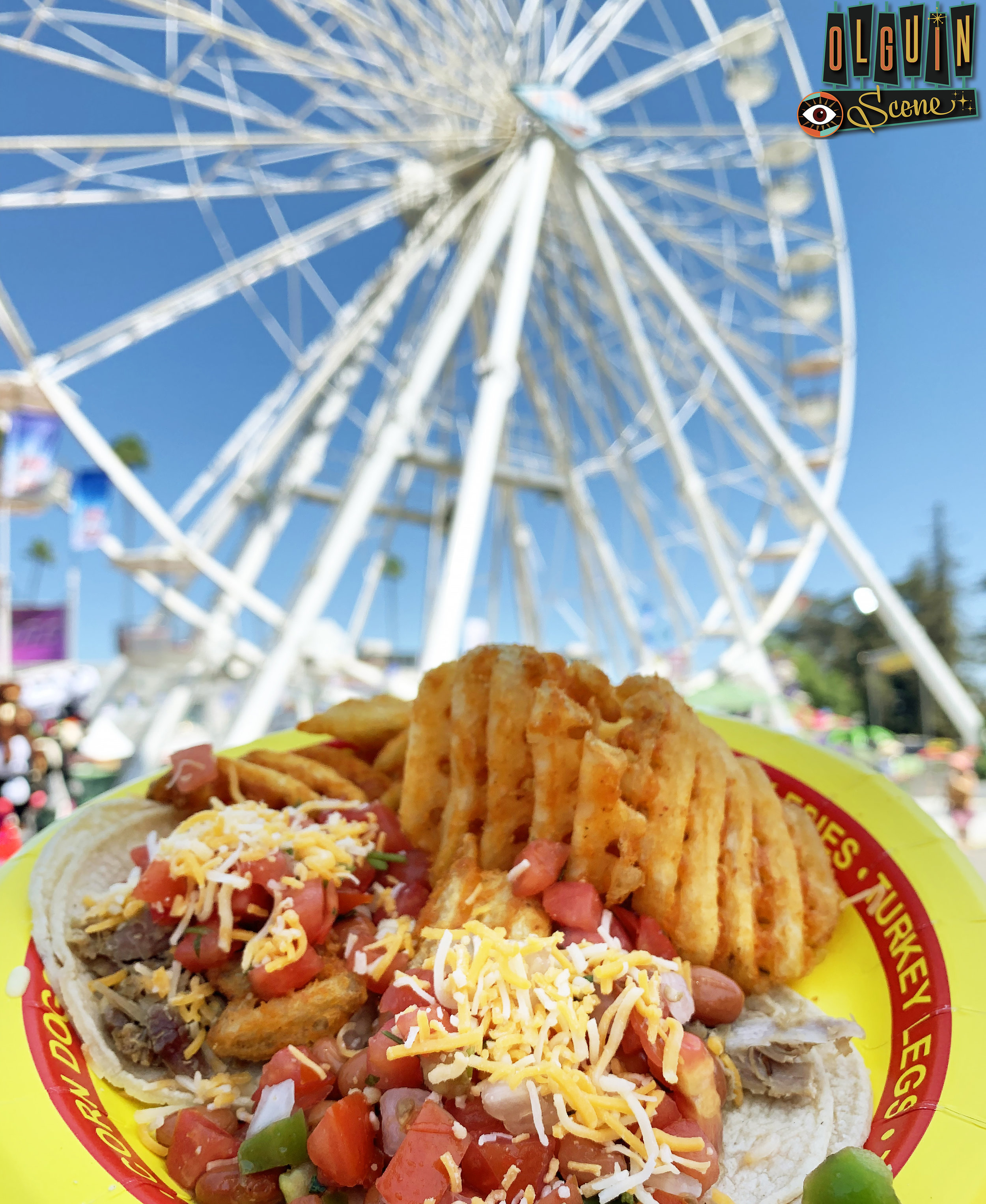 Fair food gone WILD!