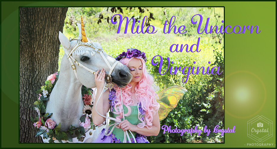 Milo the Unicorn's Photoshoot