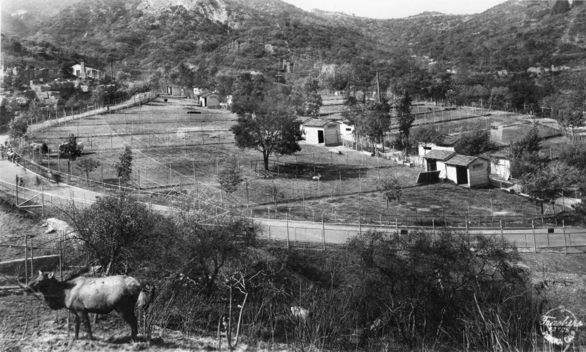 Griffith_Park_Zoo_(B9957).jpg