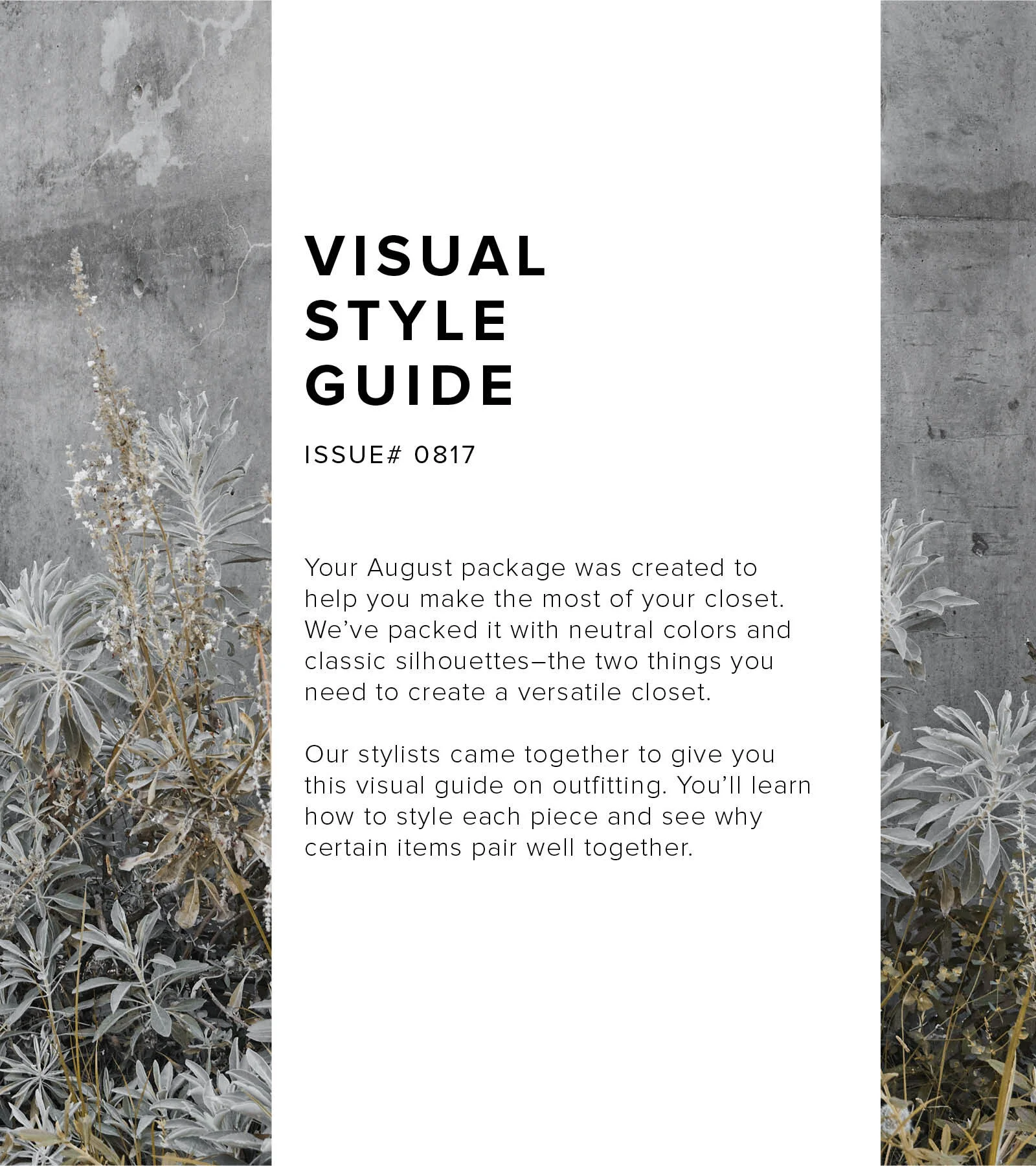 aug-visualguide-2.jpg