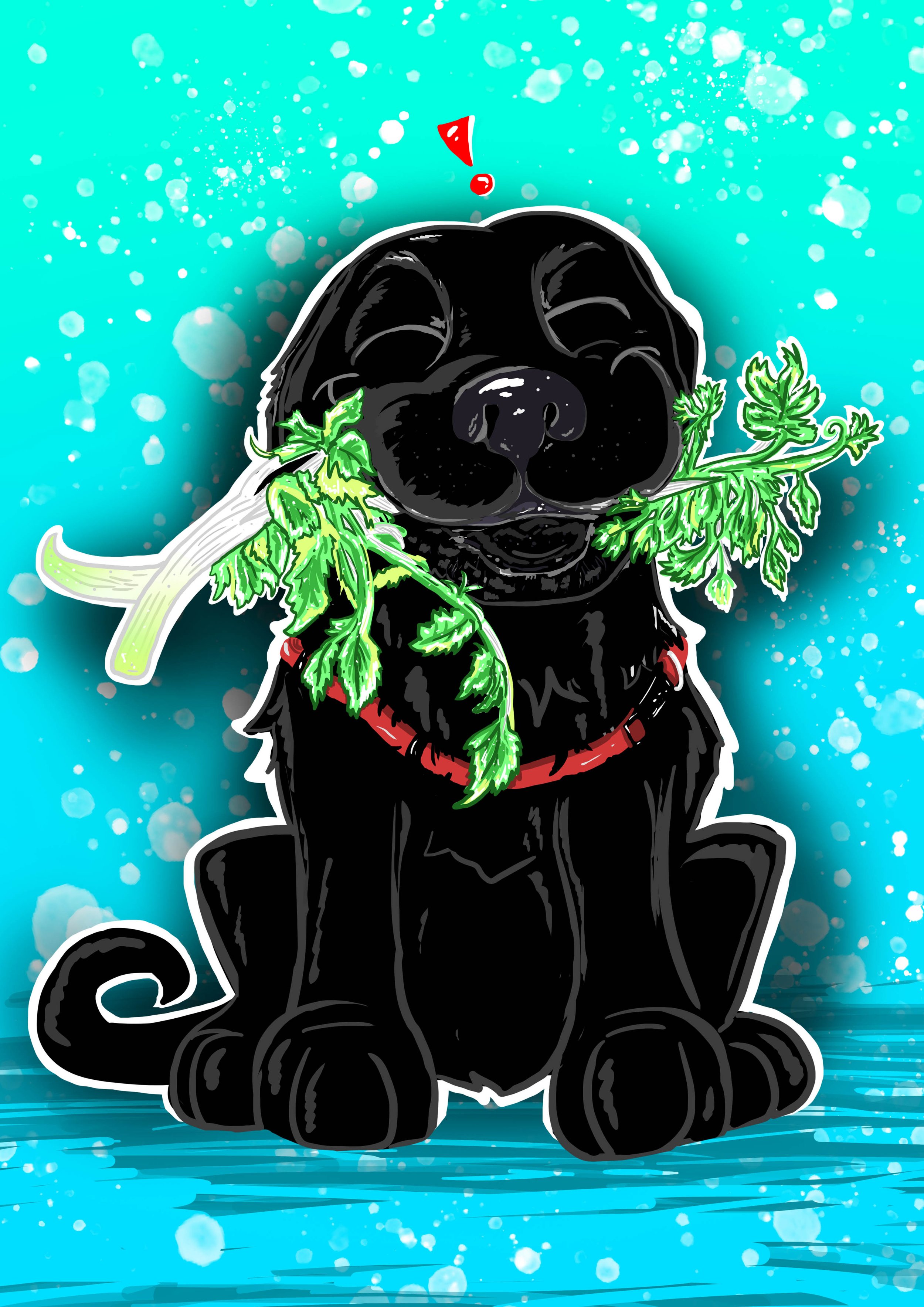 black dog.jpg