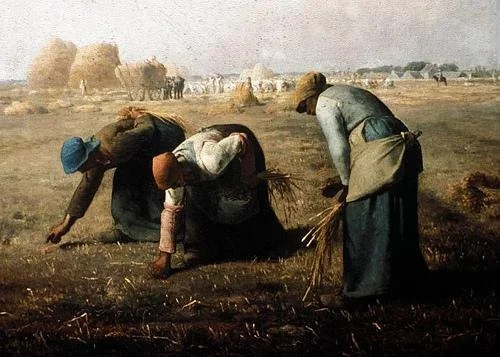 Elogio dell'abitudine – Parte 1 