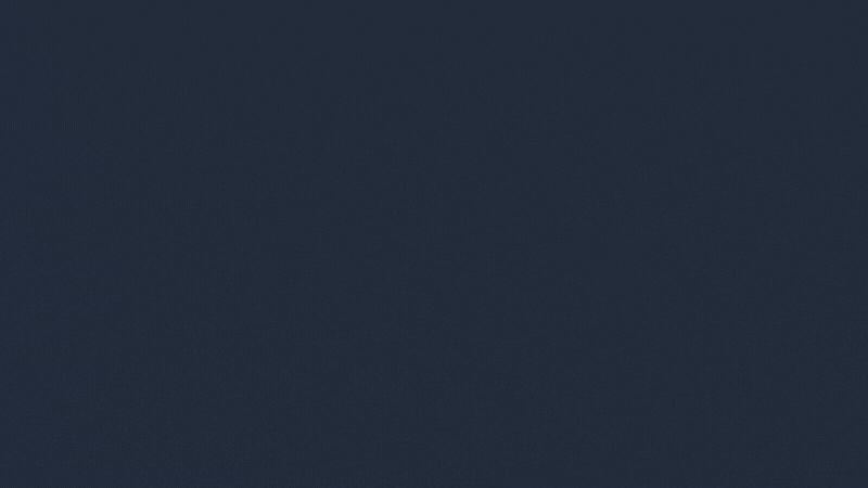 NVO_Gif1.gif