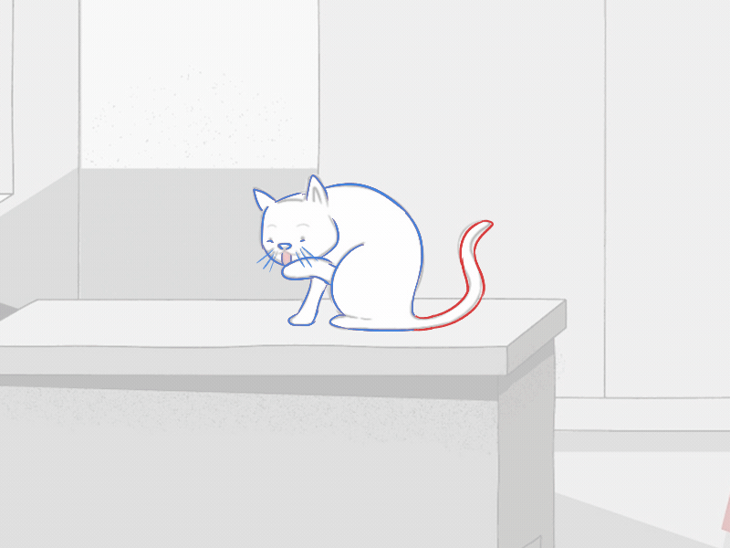StudioBolland_CelElements_PS_Cat_PencilTest2.gif