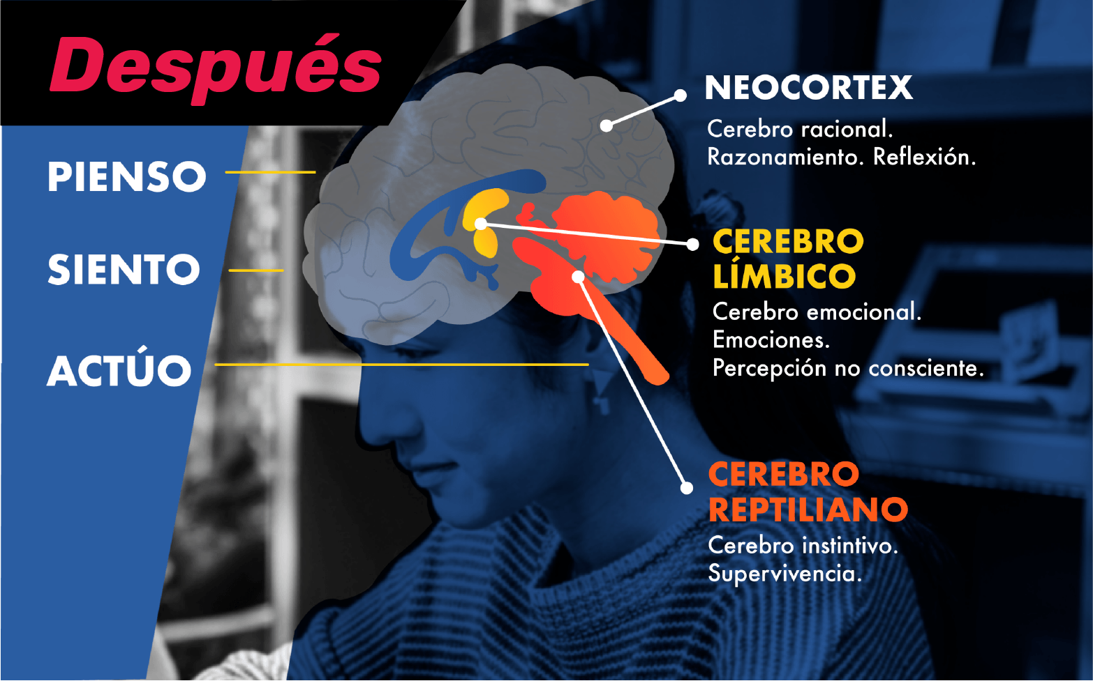 Recurso 65.png