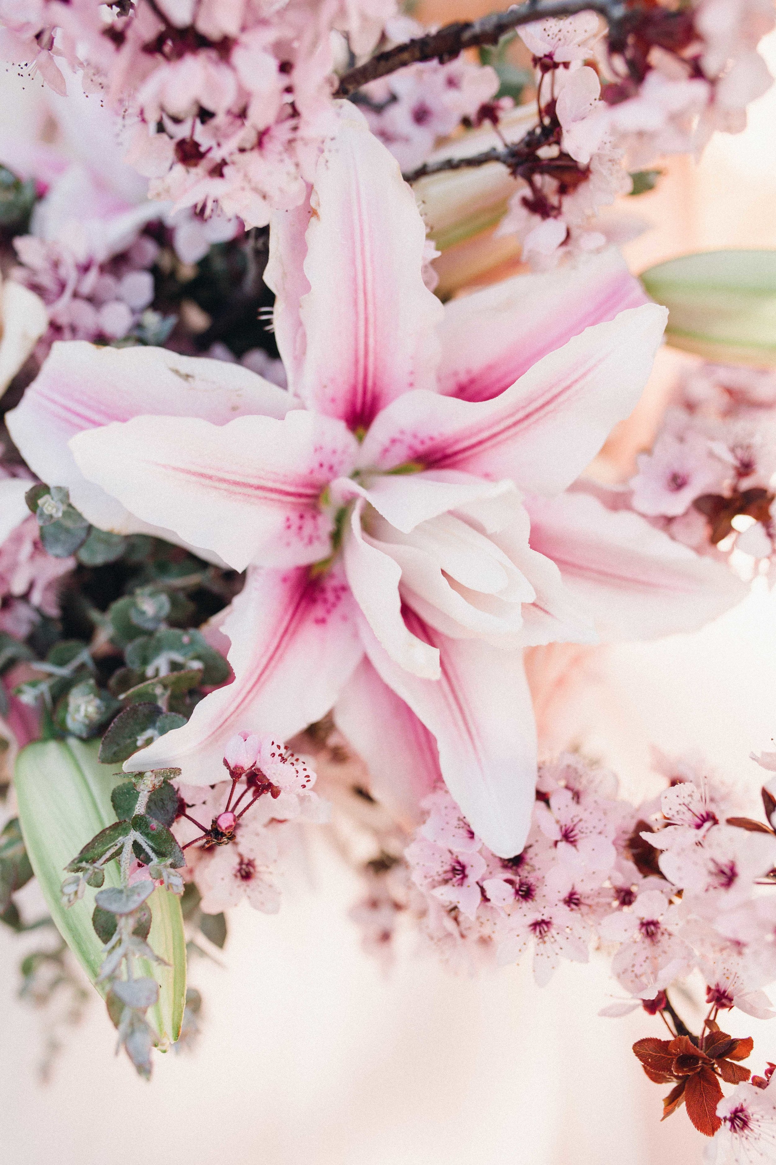 Spring Photoshoot-87.jpg