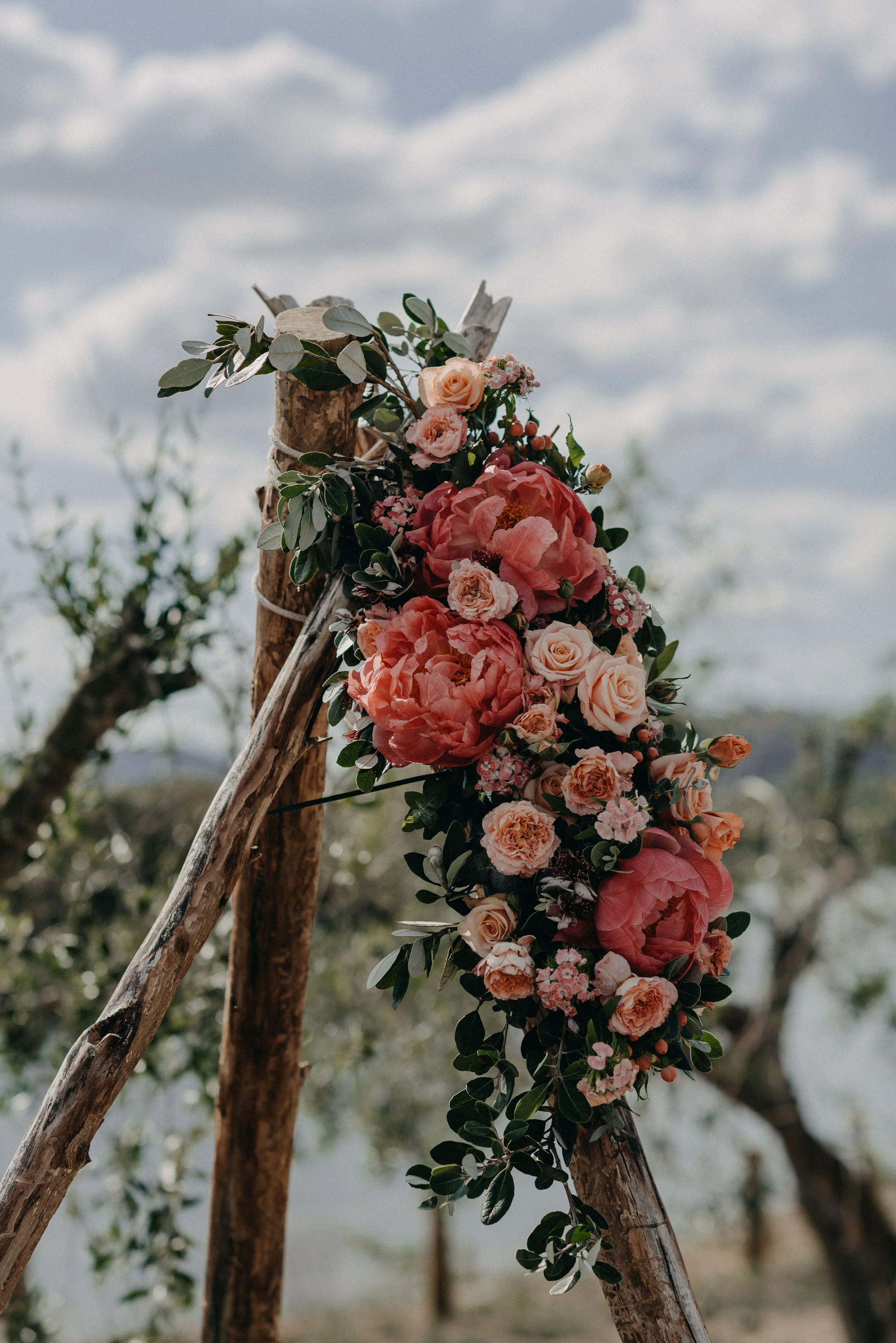 Tushara _ Sharon-4.jpg