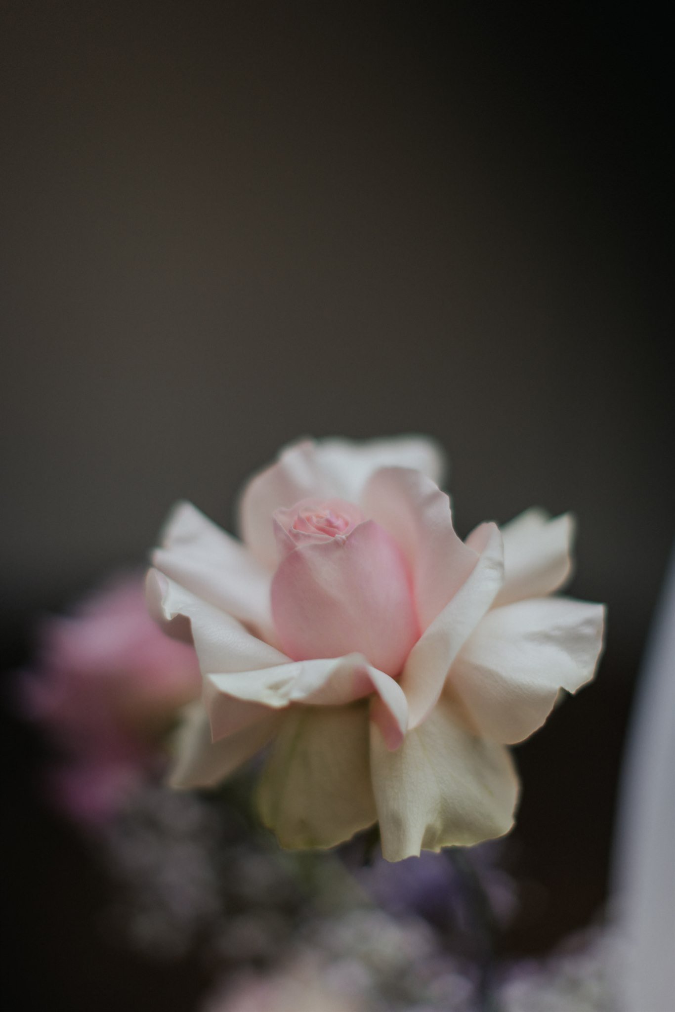PeonynPearl_StyledShoot_088(9004).jpg