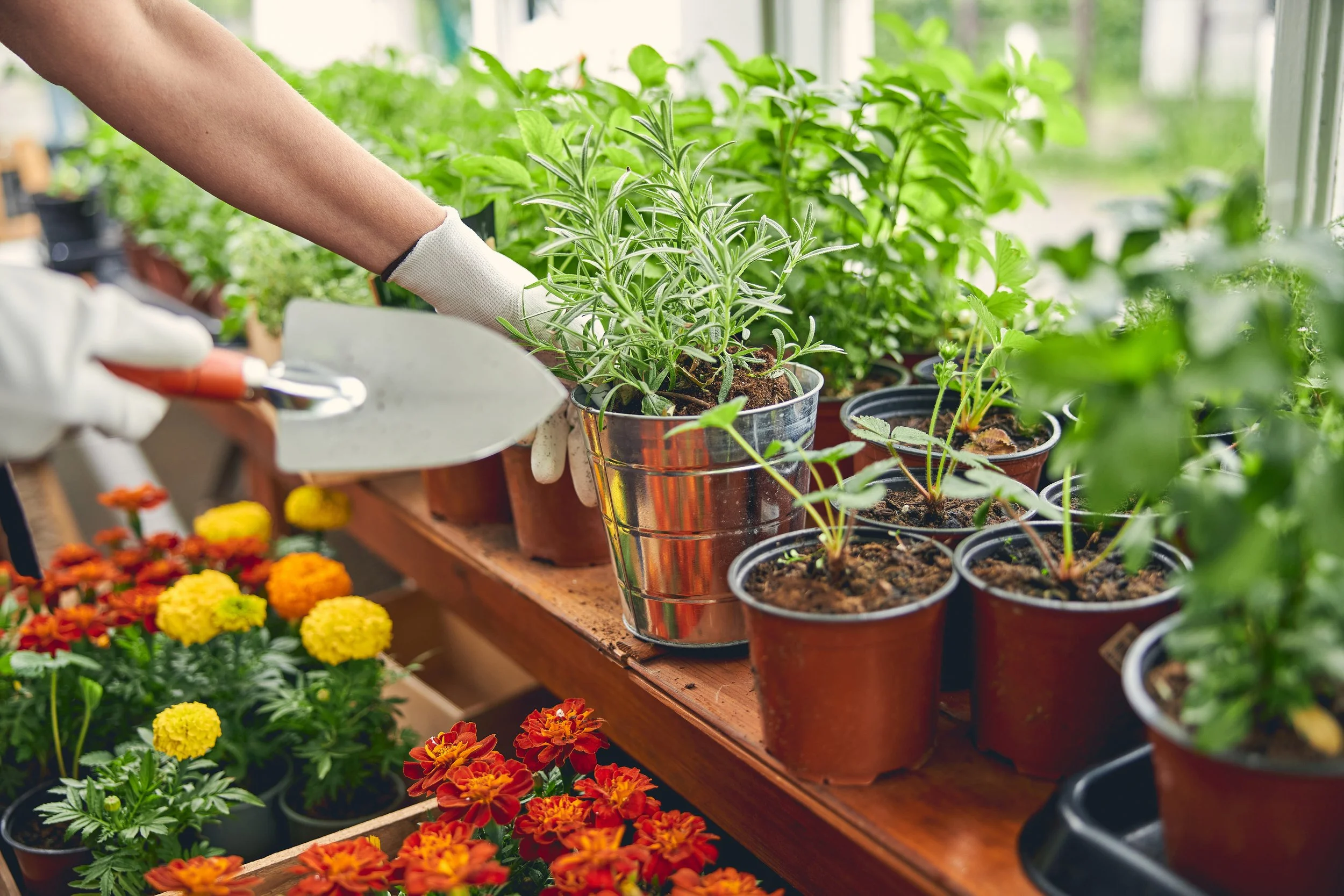Potting on the Porch