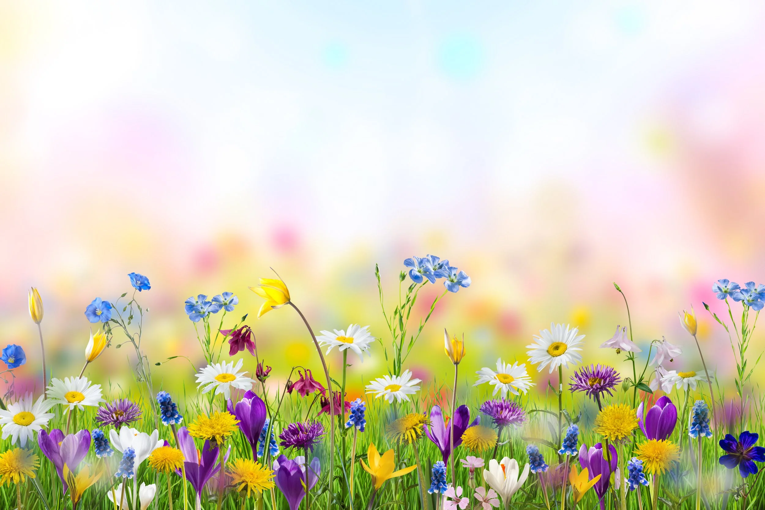 Spring into Shabbat: SHL Dinner