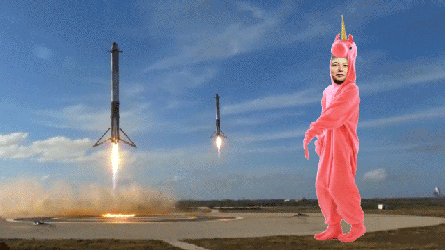 Search for “Elon Musk Space GIFs” and the internet provides a confusing bounty.