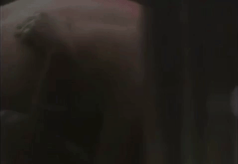 Christmas Jones GIF-downsized_large.gif