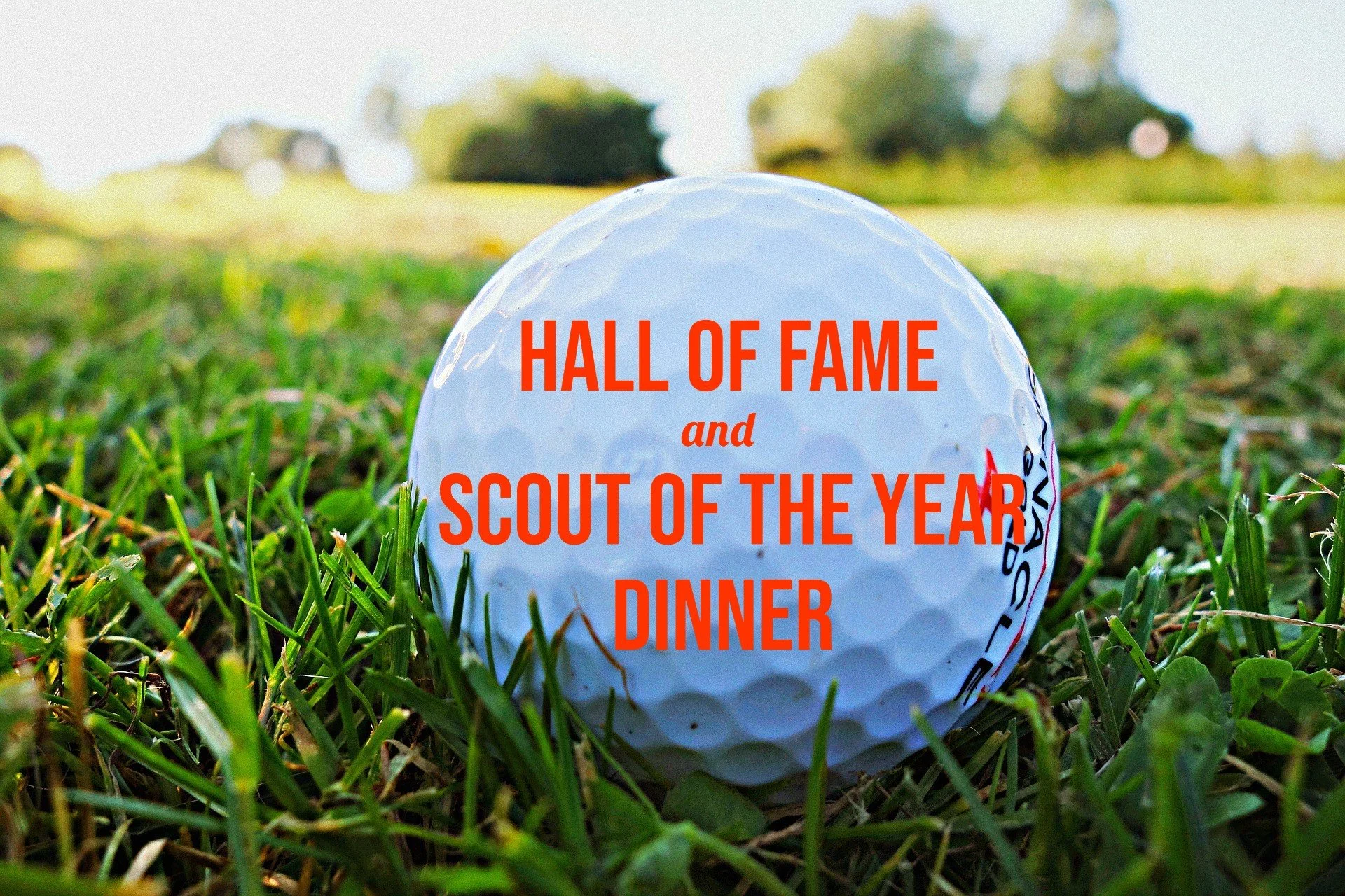 HOF and SOTY Dinner with iPiccy.jpg