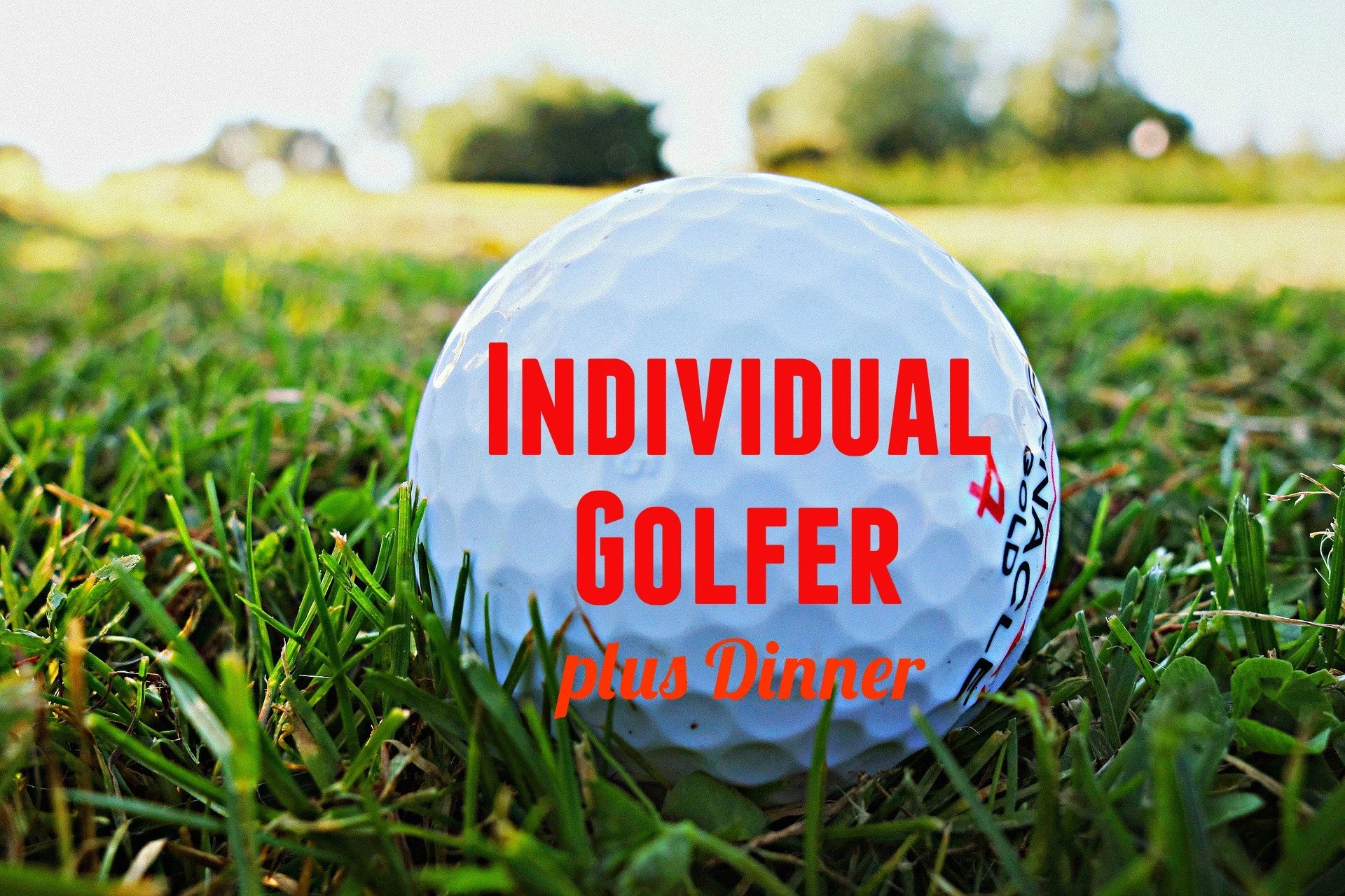 Individual Golfer plus Dinner one Cap with iPiccy.jpg