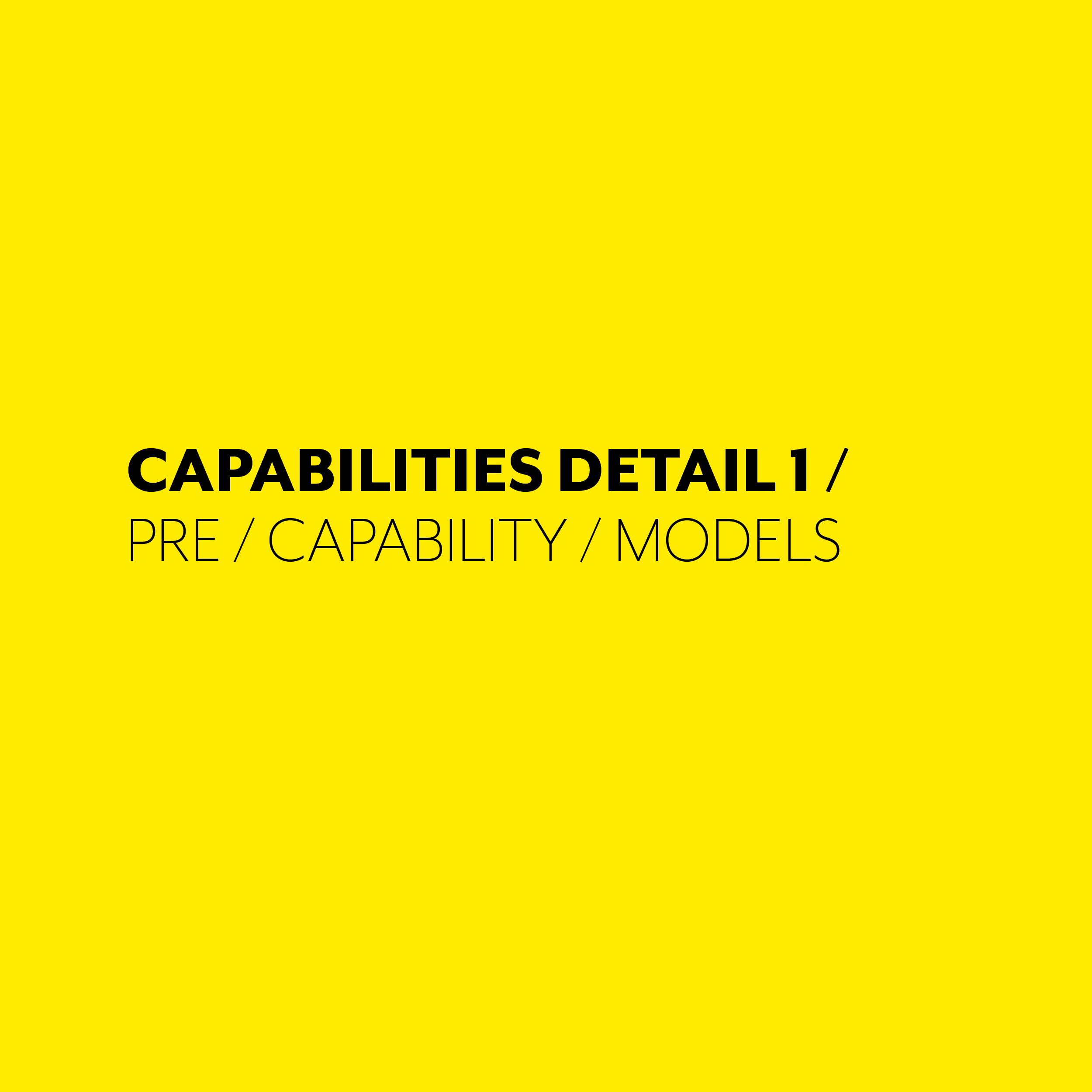 CAPABILITIES DETAIL 1.jpg