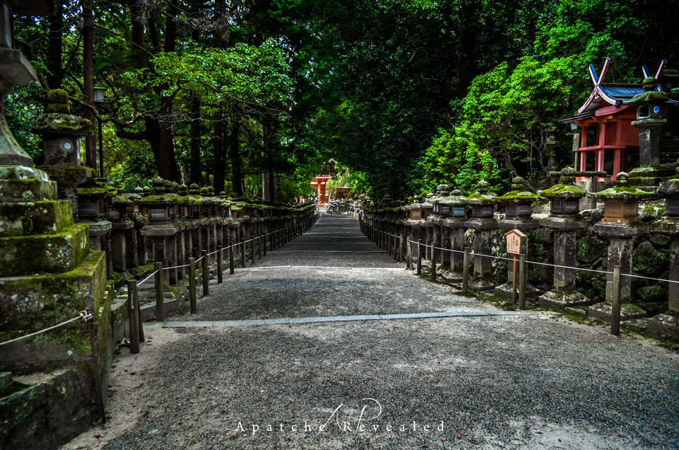 Nara-Park.jpg