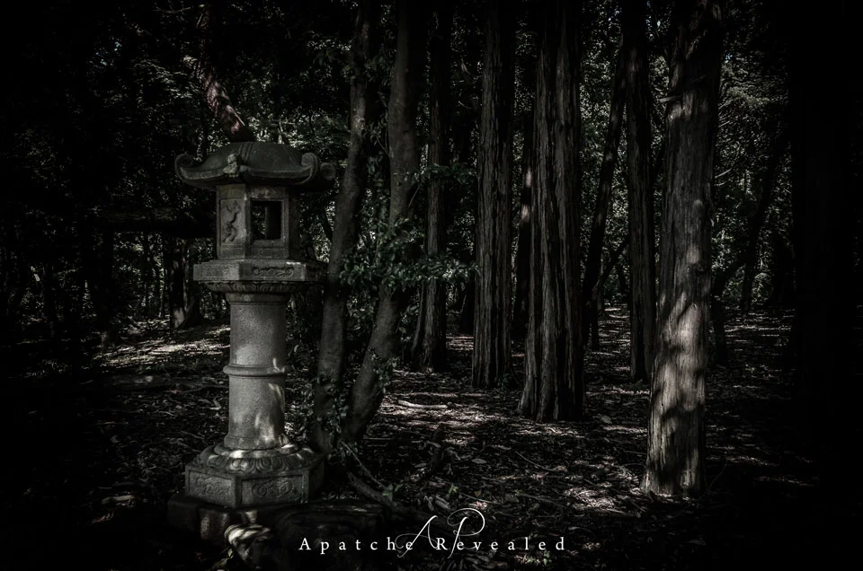 toyko-garden.jpg