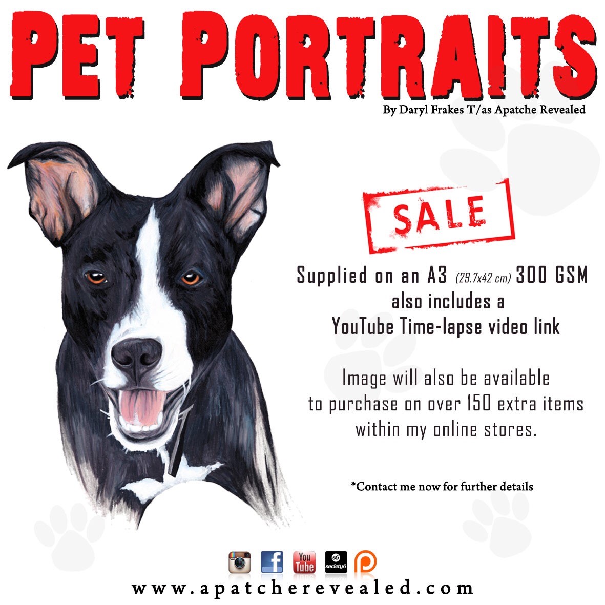 Pet Portraits add