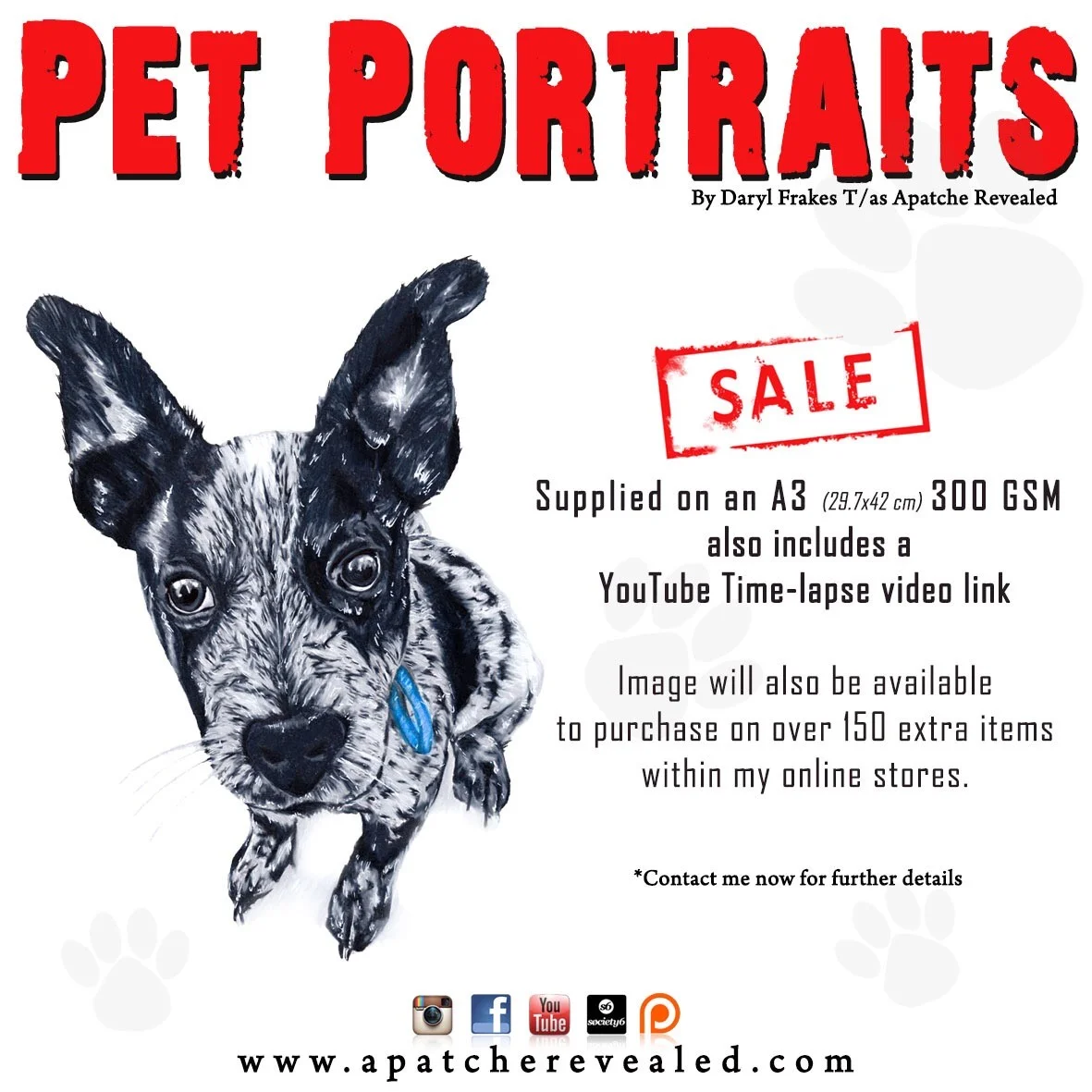 Pet Portrait add