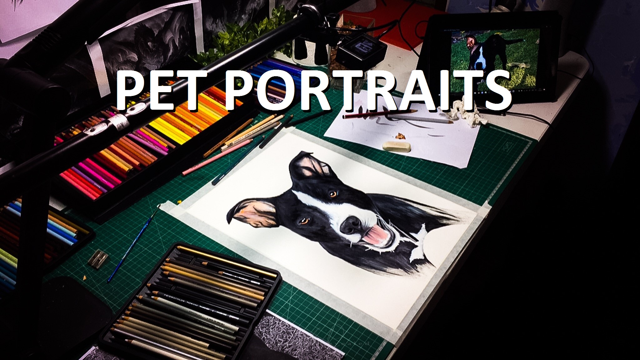 PET PORTRAITS.jpg