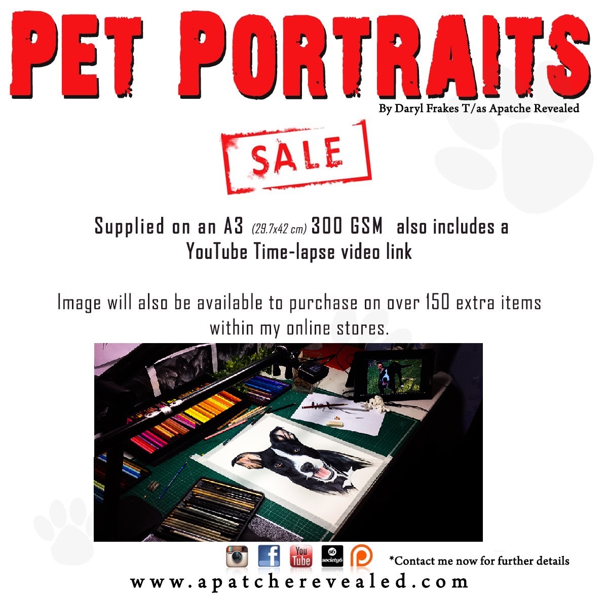 Pet Portrait adds