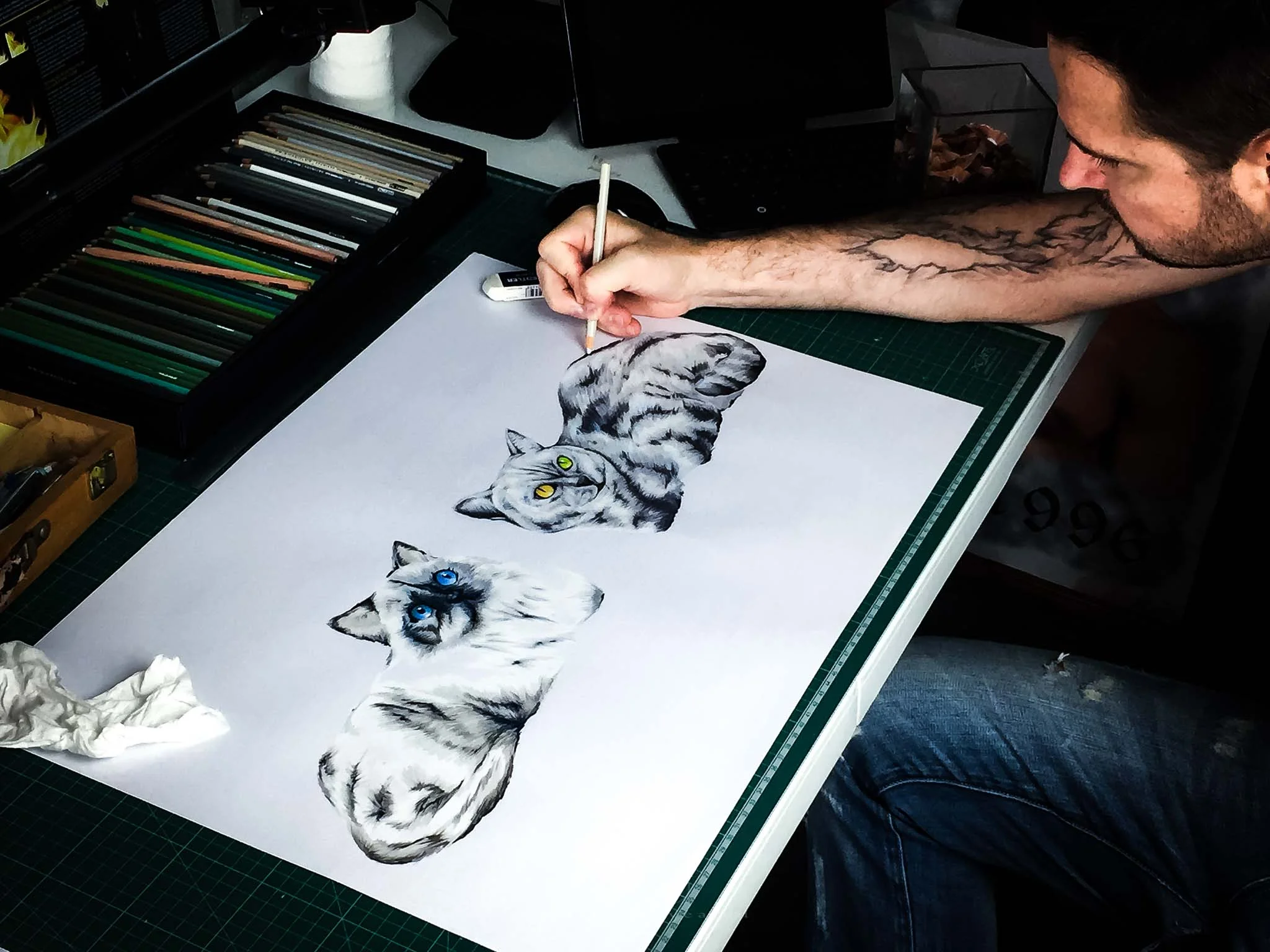Commissioning pet portrait artwork Learn More →