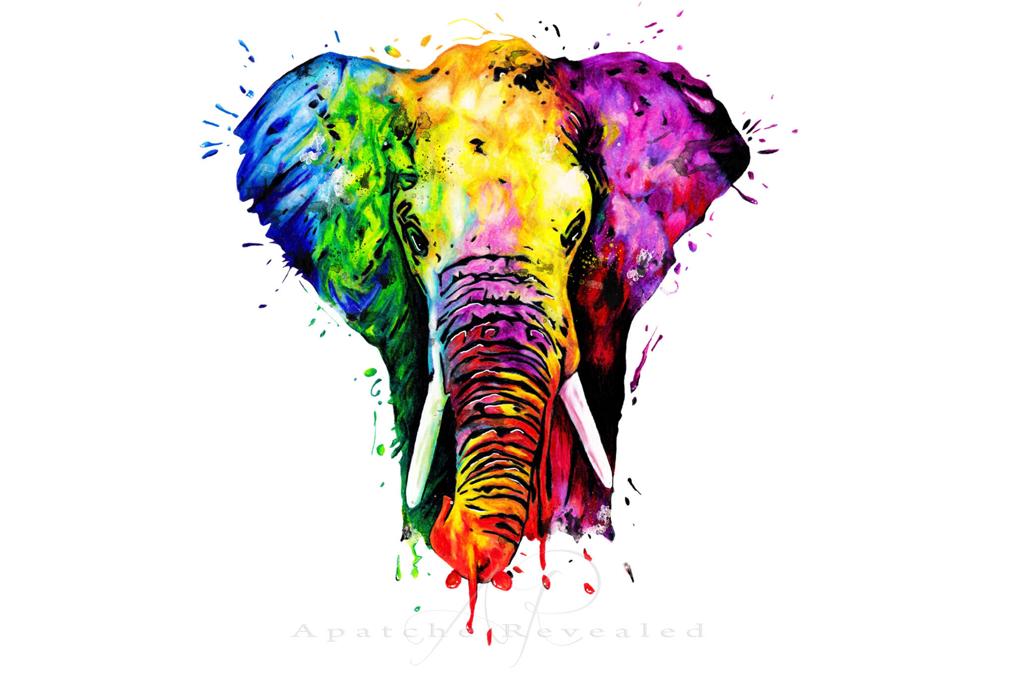 Rainbow Elephant 