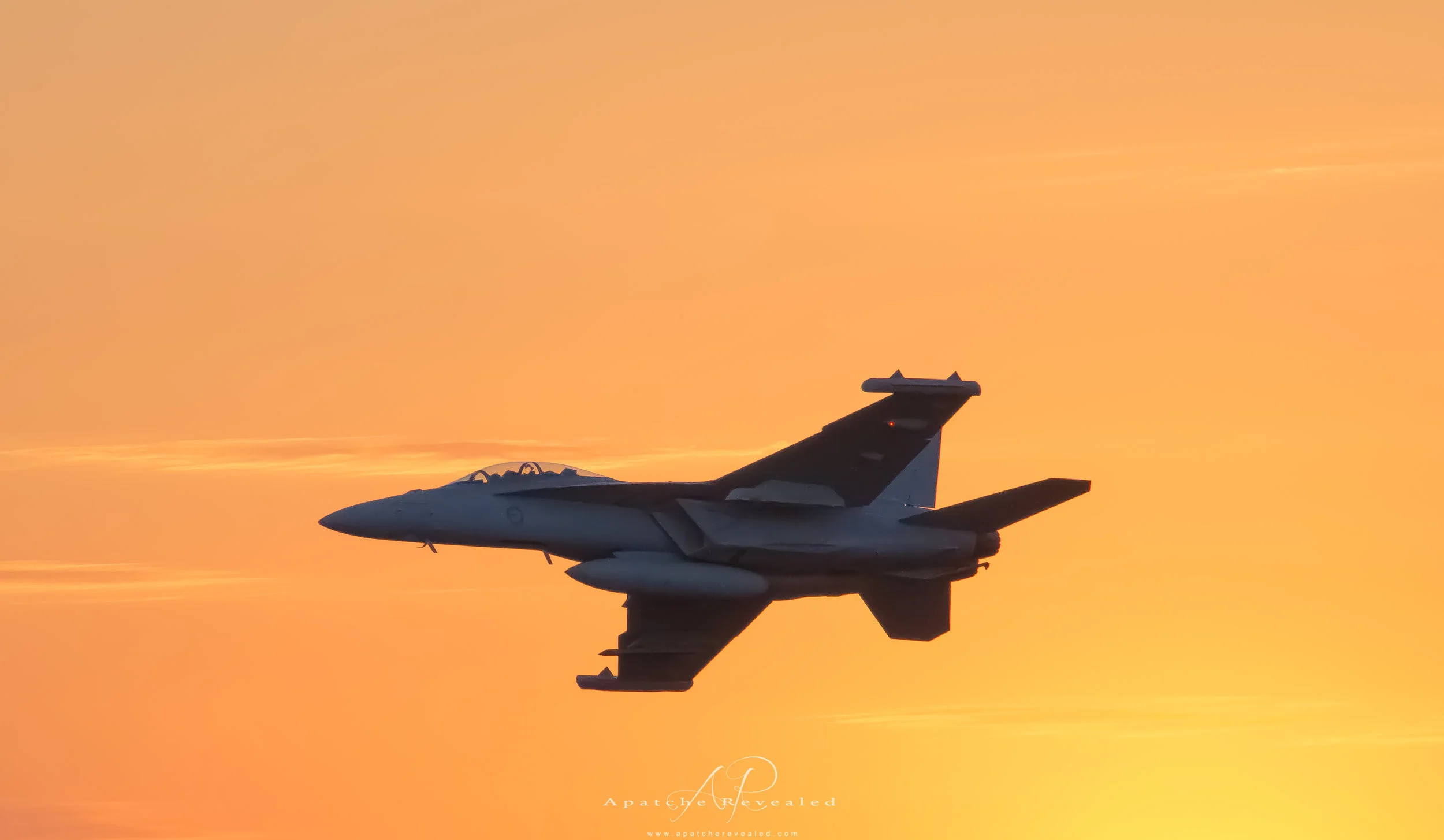 F11 Hornet
