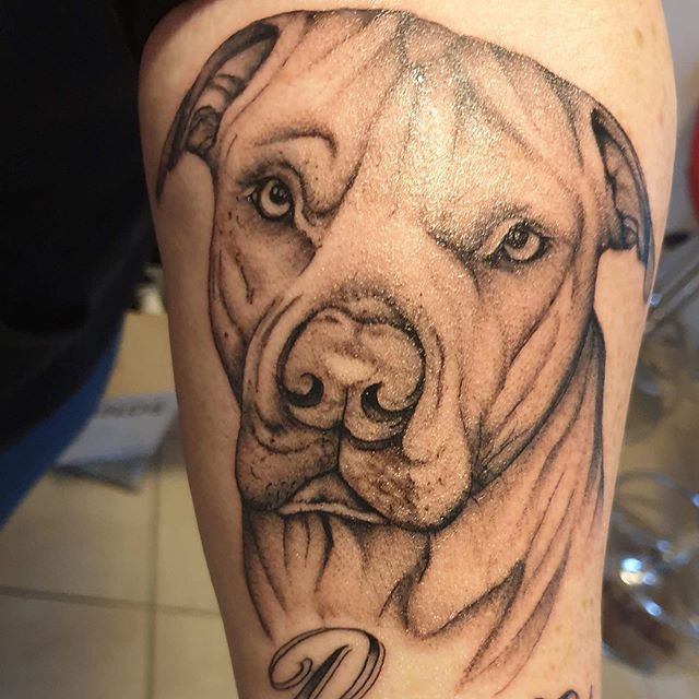 Romeo 🐕
. 
Wow can&rsquo;t believe it one of my pawtraits 🐾 has been turned into a tattoo, its a real honour to know someone likes my work to have it transferred to a tattoo piece..
. 
Swipe left ⏩ to see artwork
@Prismacolors on @Fabriano (29.7x42