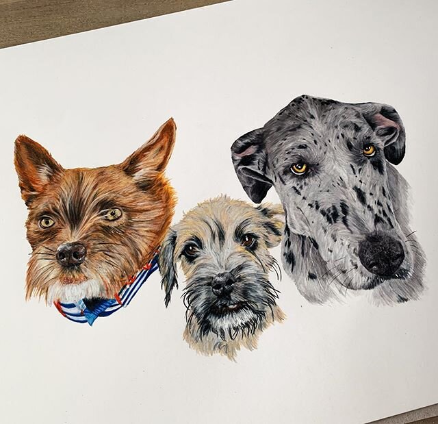 Who let the dogs out?
. 
Did this Commission piece for a Christmas gift so a client can surprise his wife.. Just amazing how much joy animals can give..
. 
Swipe left ⏩ to see progress . 
Not all pets are created equal especially when it's your pet t