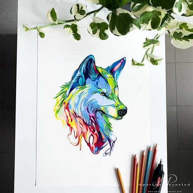 Rainbow Wolf, last nights entertainment in our current isolation lockdown... Now to make the how drawing video 🙌

Prismacolors on Fabriano (29.7x42 cm)&nbsp;300 GSM ____________________________________________
#apatche #apatcherevealed #darylfrakes 