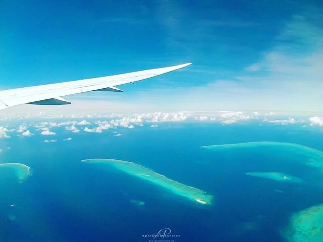 Rasie your hand if you are starting to miss this view 🙋&zwj;♂️ Taken flying over Cairns, Australia on my way to Japan in 2015...
_____________________________________________
#apatche #apatcherevealed #darylfrakes 
Other Insta Accounts;
🎨@apatche
?