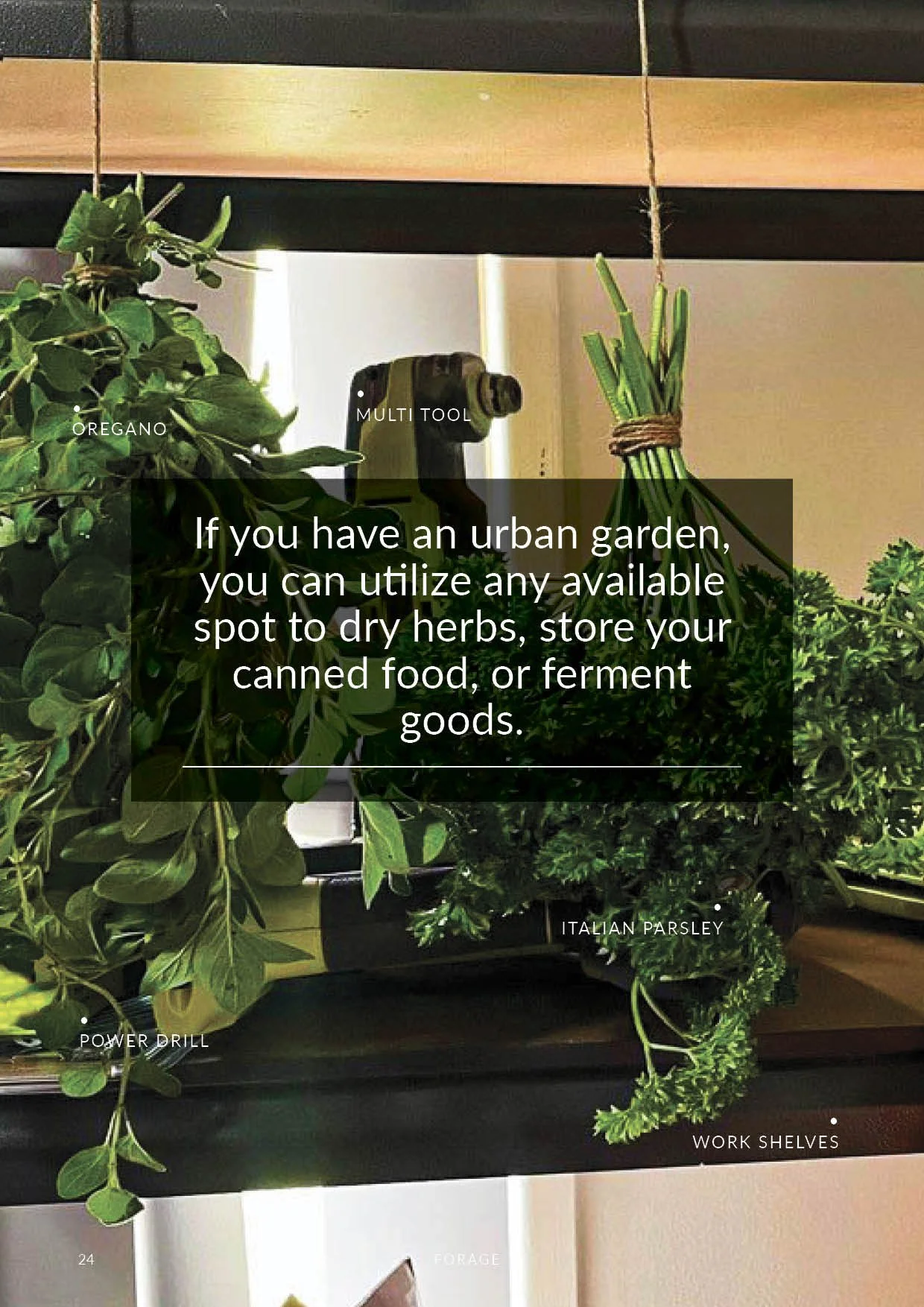 Forage Jpegs24.jpg