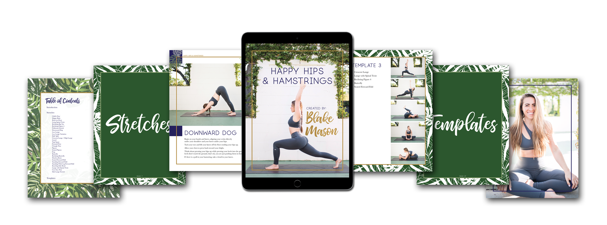 page-array-blake-mock-up-2.png