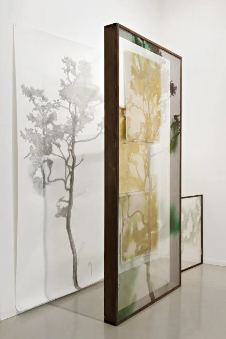 Guendalina Salini e Antonello Viola, Dove esita l'immagine in versi, 2015, dimensioni variabili.jpg