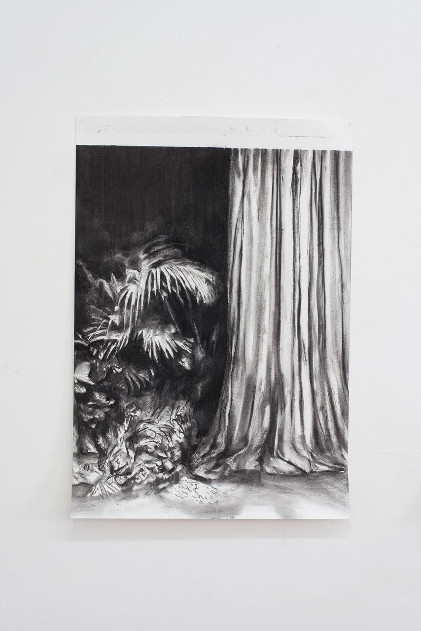 Alessandro Scarabello, The Curtain #1, 2016, carboncino su carta, 94,5 x 65,5 cm
