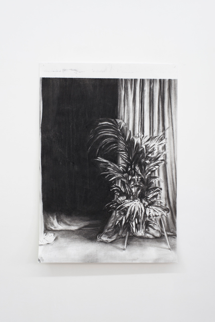 Alessandro Scarabello, The Curtain #3, 2016, carboncino su carta, 94,5 x 65,5 cm
