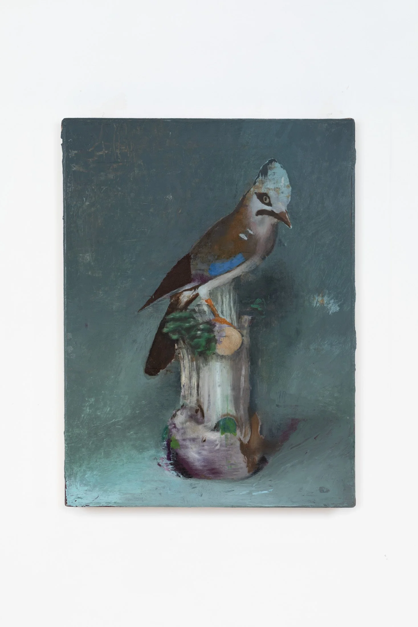 Parakeet (Mother’s Bliss) , 2018, oil on canvas, 59x44 cm