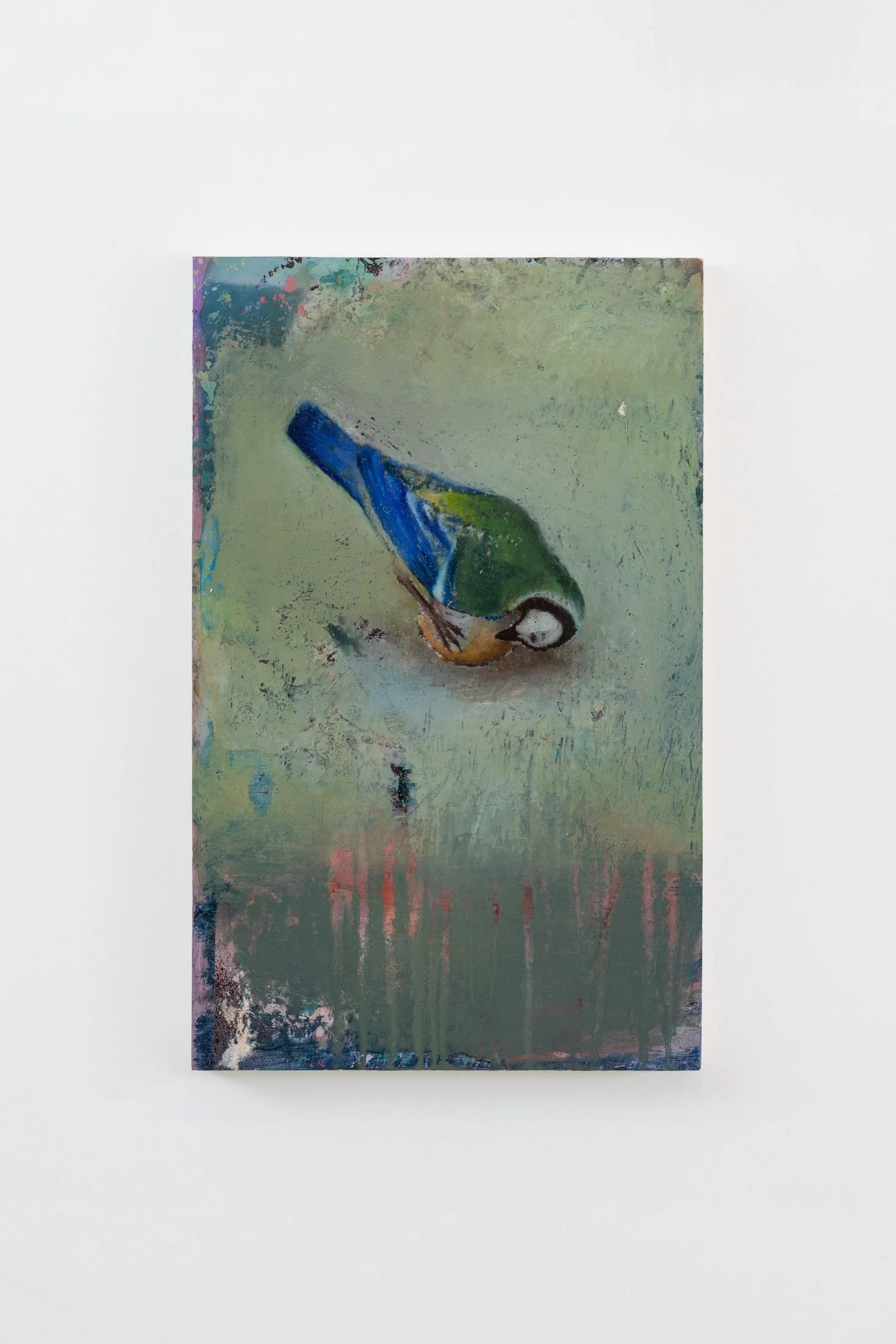 Bird and Apple , 2022, olio su legno, 67x42 cm