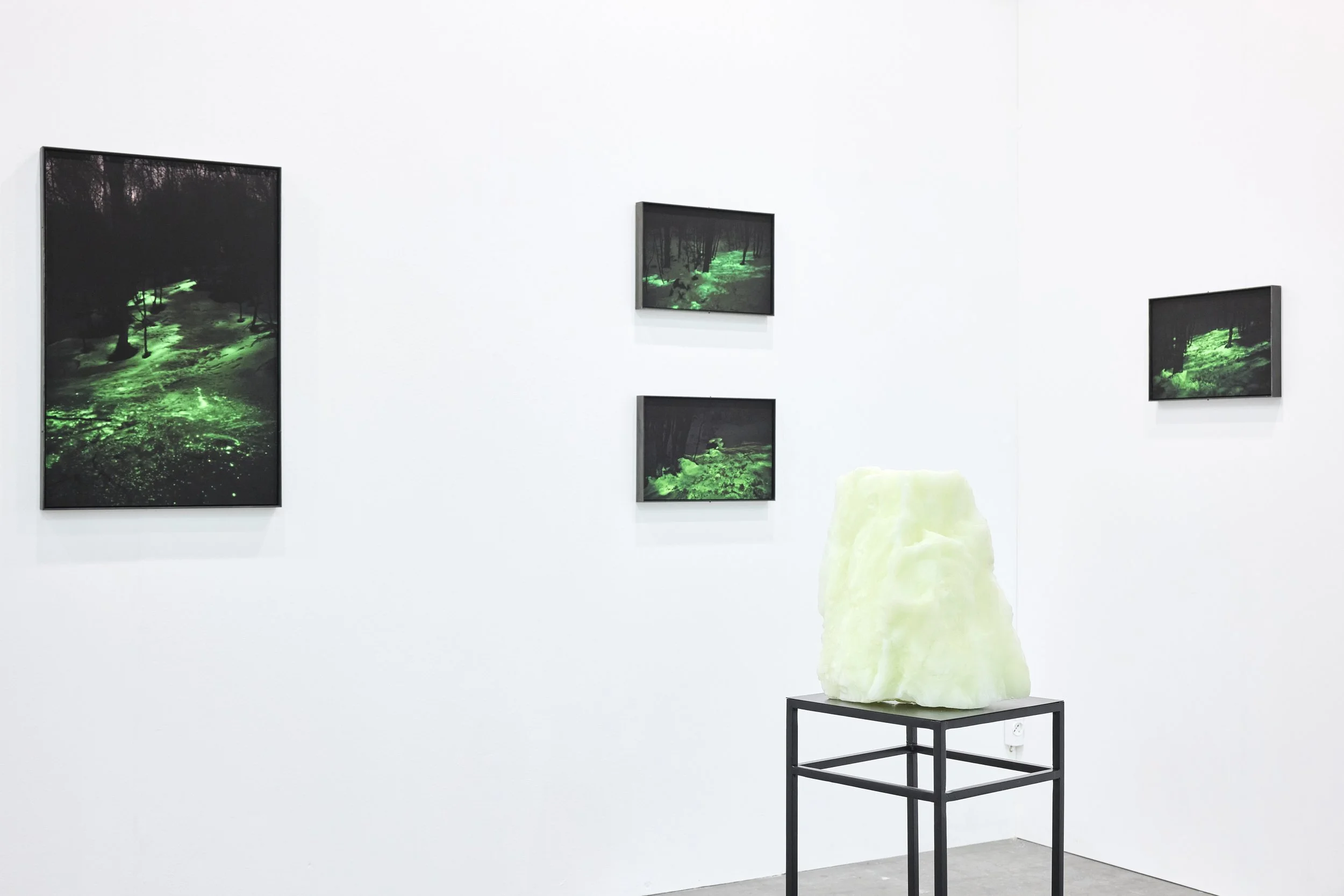 Artissima25-Stand-Antonini-EP-005.jpg