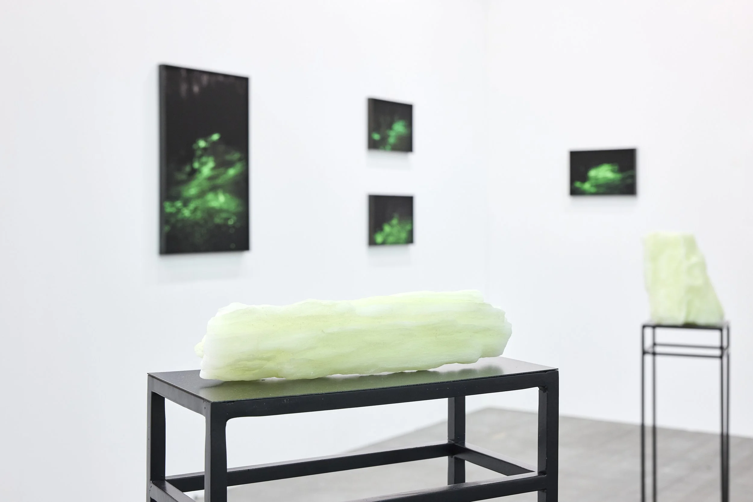 Artissima25-Stand-Antonini-EP-009.jpg