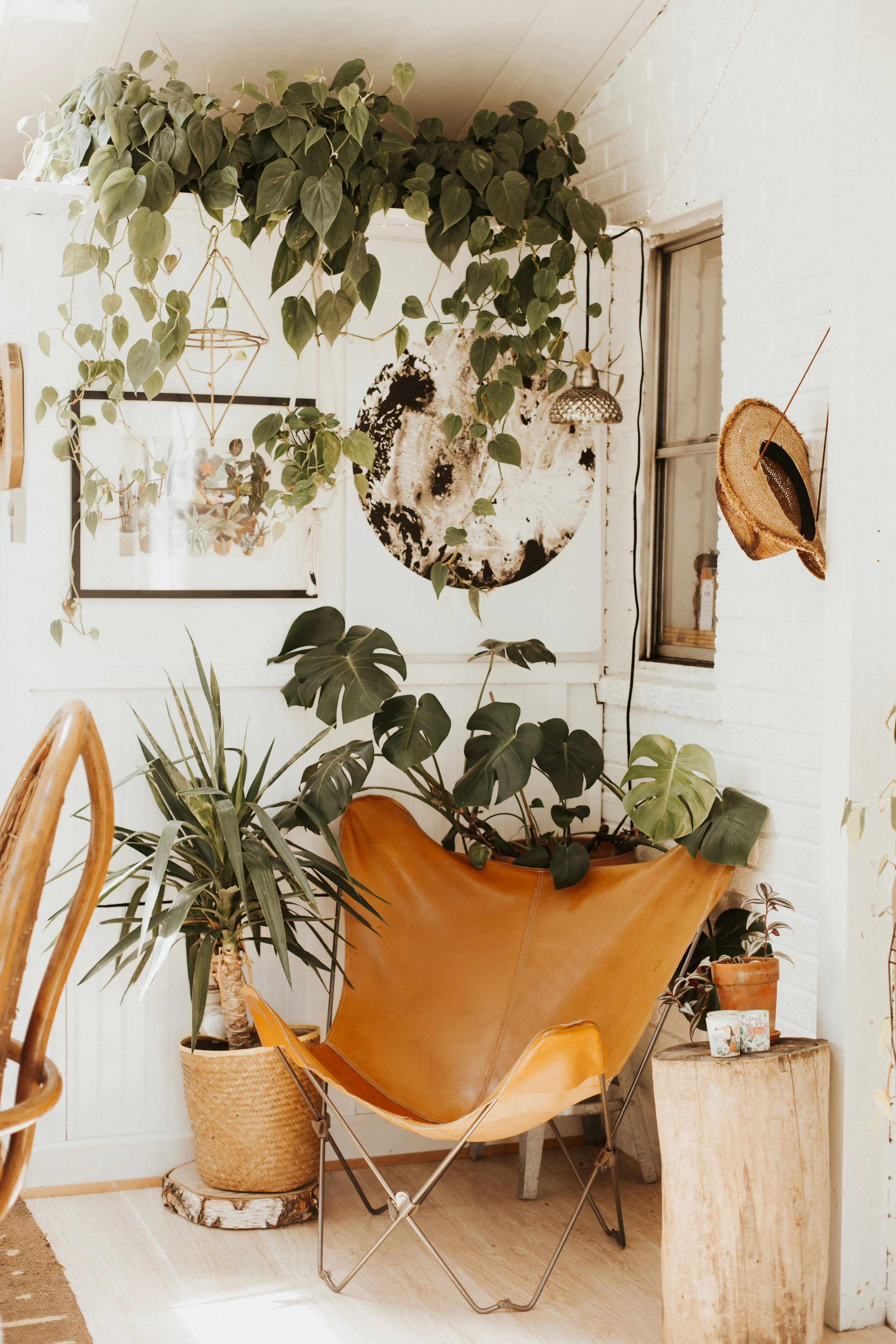 untitled_0005.jpg