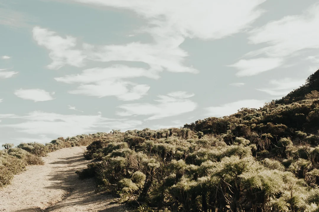 untitled_0009.jpg