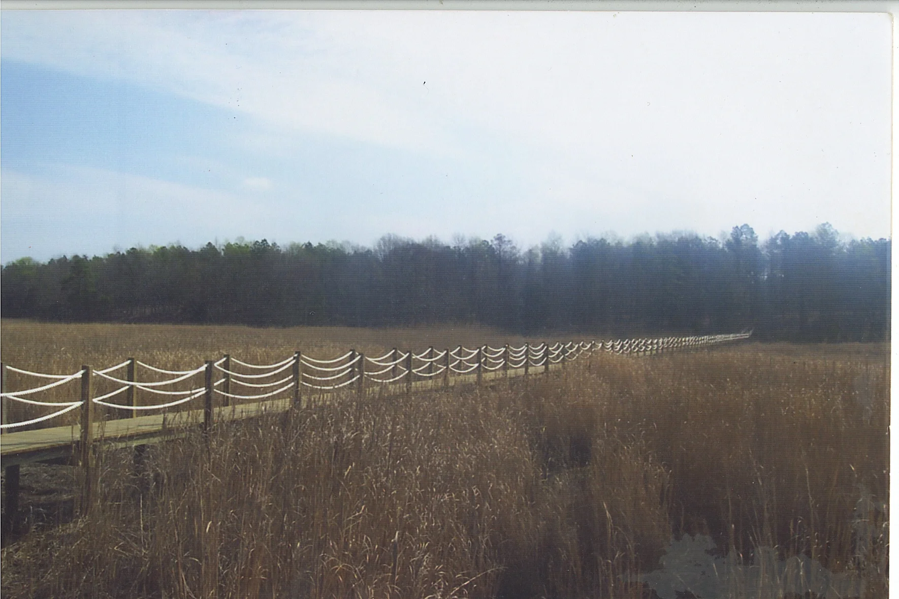 Scan13_0013.jpg